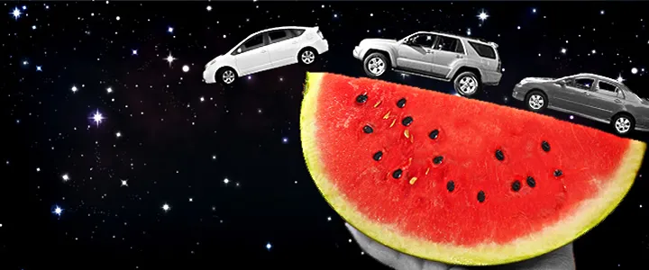 指定車検画像