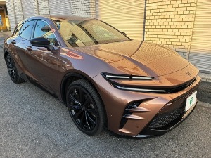 クラウンスポーツ