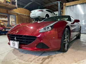 カリフォルニアT