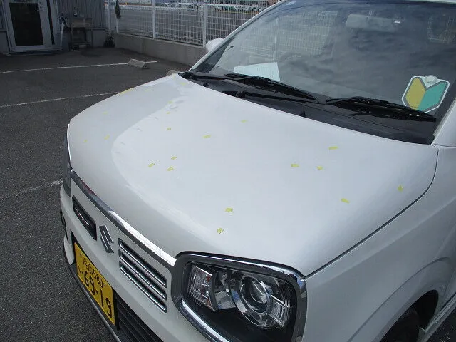 橿原市　アルト　雹被害