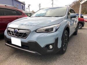 ＸＶ