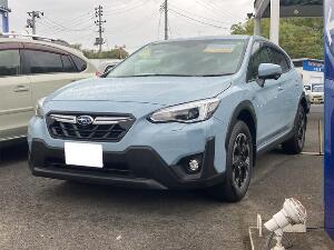 ＸＶ