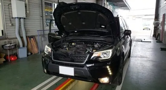 車検画像