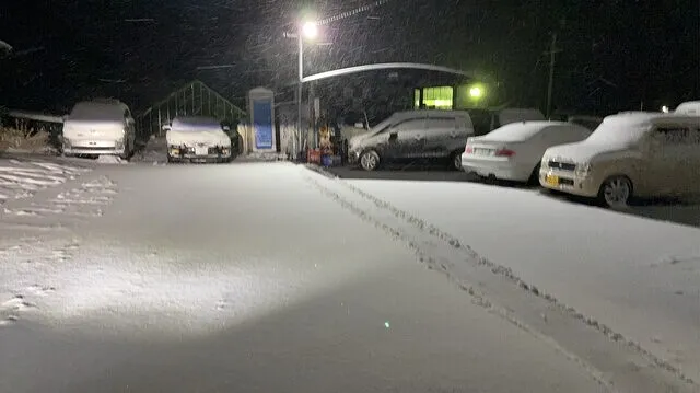 昨日は雪かきで筋肉痛‼️