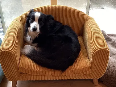 ASホールディングス　　軽バン・箱バン専門店　オートサポートグループ外観