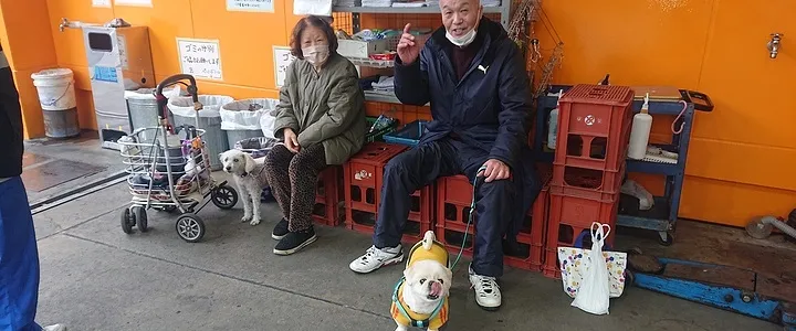 イベント・タイヤセール画像