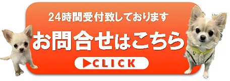 トピックス画像