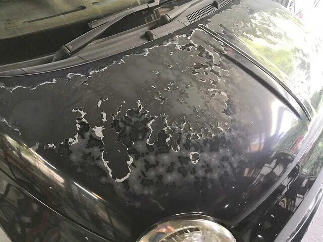 福岡市 早良区より依頼 FIAT(フィアット) ボンネット、ルーフ、リアゲート、両リアフェンダー塗装