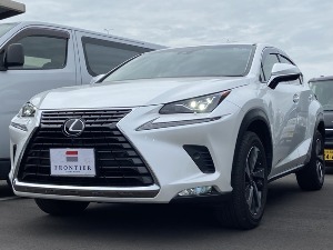 NX