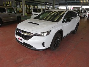 レヴォーグレイバック