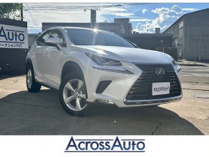 NX