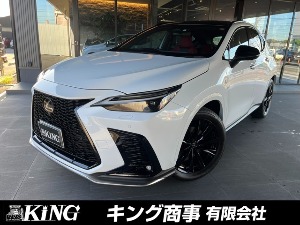 NX