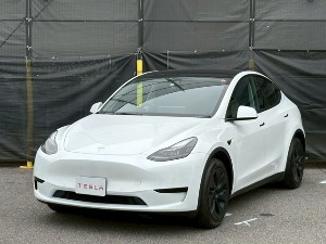 モデルY
