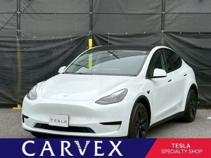 モデルY