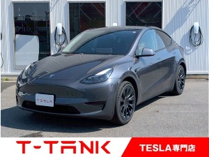 TESLA T-TANK CARVEX