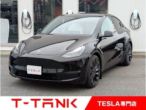 TESLA T-TANK CARVEX