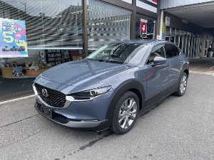 CX-30