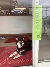 函館車検センター　　　ケンロード外観