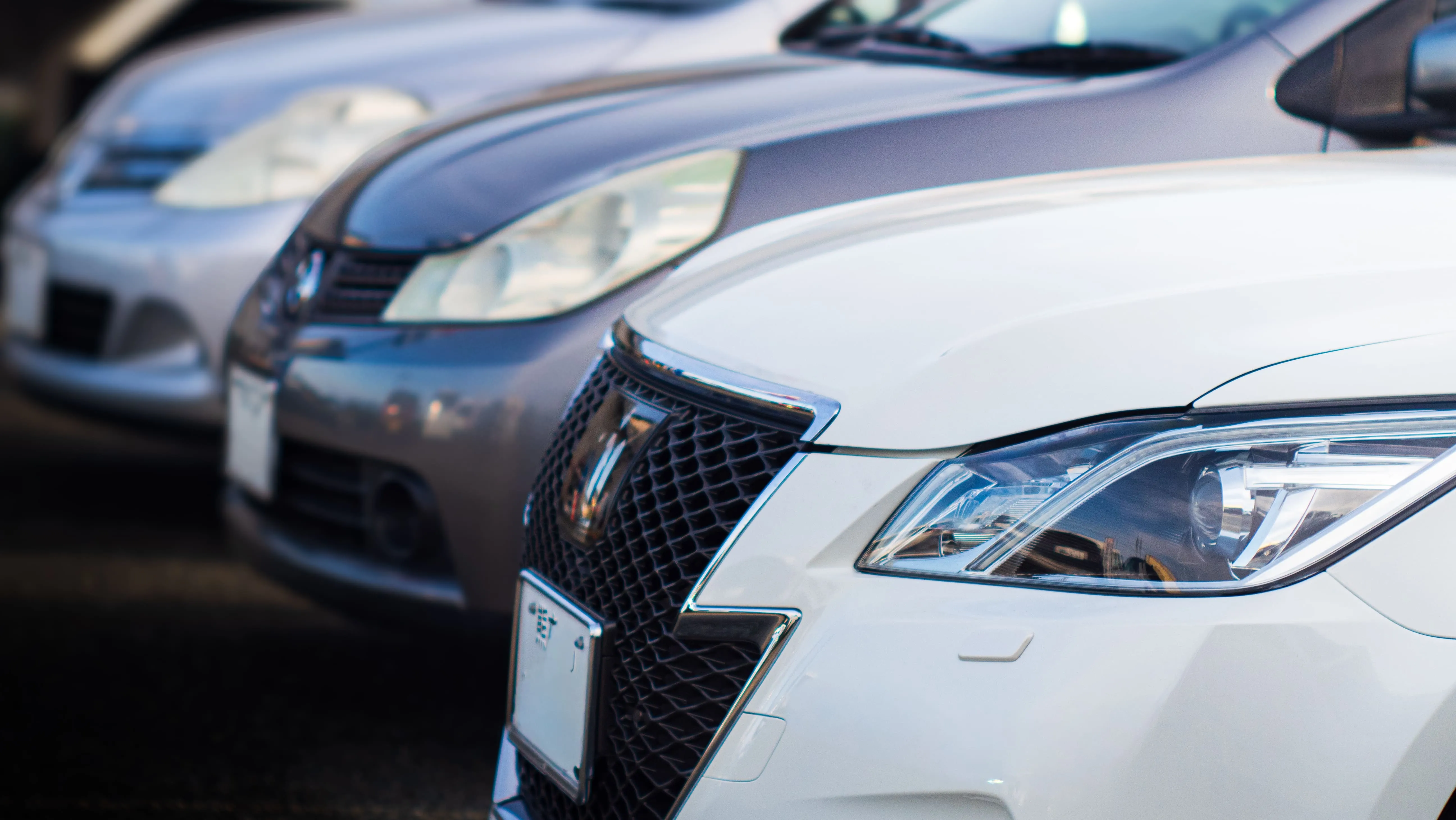 新車中古車販売画像