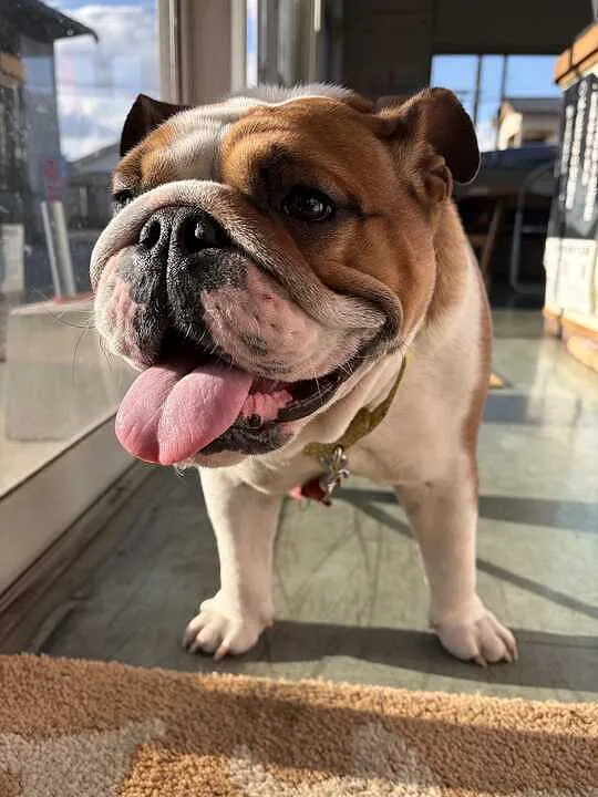 トピックス画像